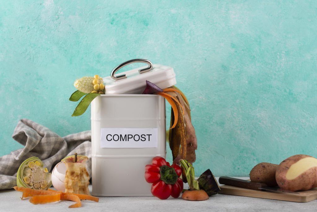 arrangement compost made rotten food