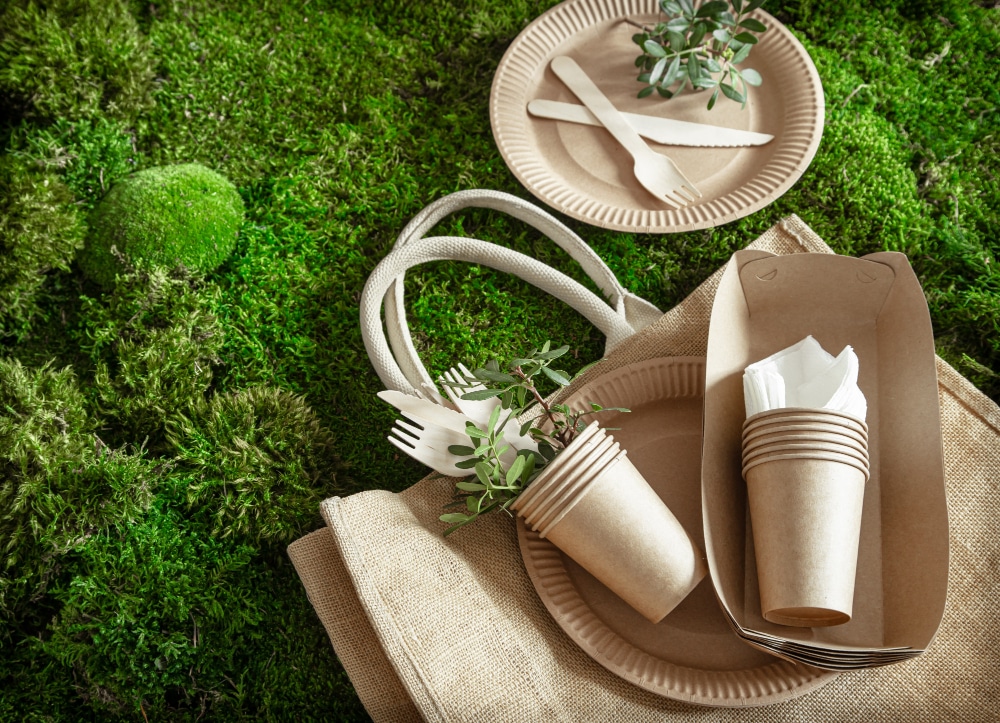 environmentally friendly disposable recyclable tableware
