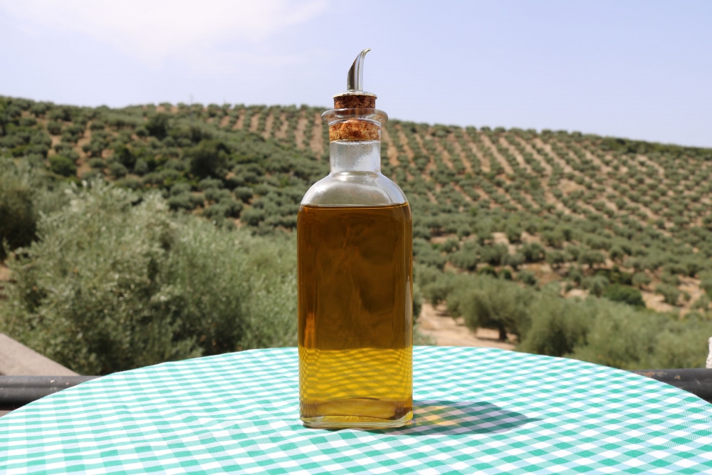 Akú súvislosť má použitý kuchynský olej so zákonom a životným prostredím?